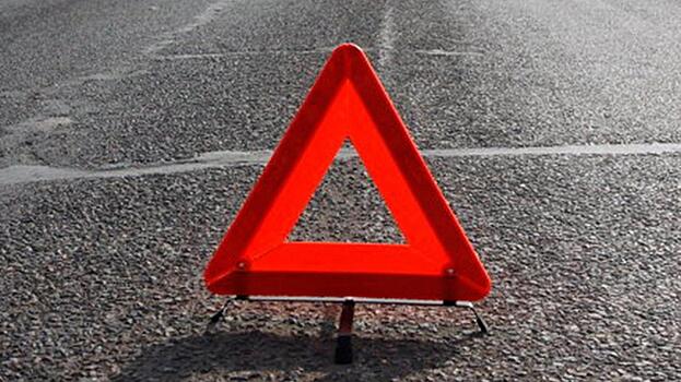 В центре Вологды автобус въехал в дерево