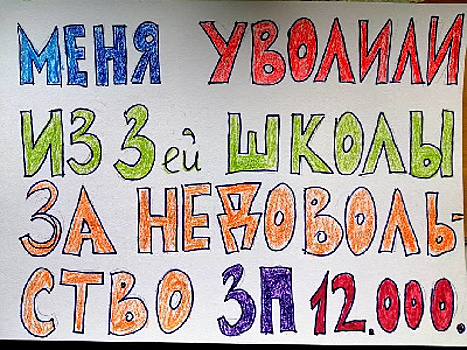 Учительницу в Крыму уволили после жалобы губернатору на низкую зарплату 