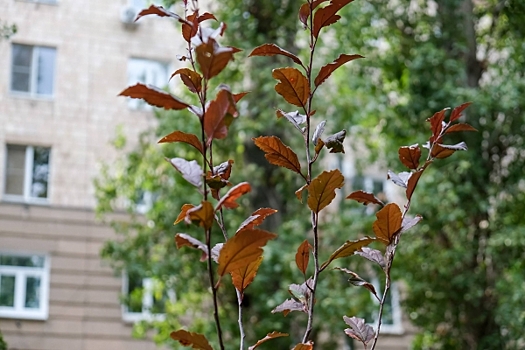 В Волгоград идет похолодание до +22 градусов