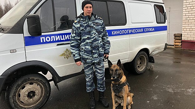 Центавр помог найти пропавшие радиаторы со стройки в Вологде