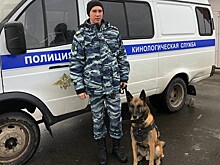 Центавр помог найти пропавшие радиаторы со стройки в Вологде