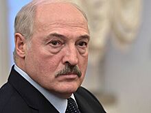 "Хряк и свиноматка": Лукашенко обрушился на оппонентов