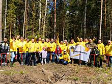 «Хорошее и важное дело». Нефтяники «Уватнефтегаза» присоединились к экологической акции по посадке леса