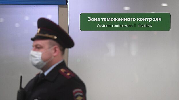 В Шереметьево задержали пассажира с боевой гранатой