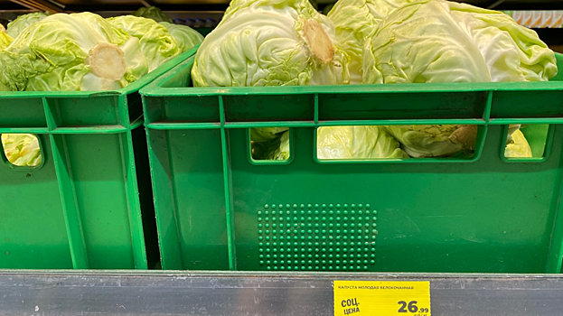 «Ценник». В центре Саратова килограмм капусты подешевел до 27 рублей