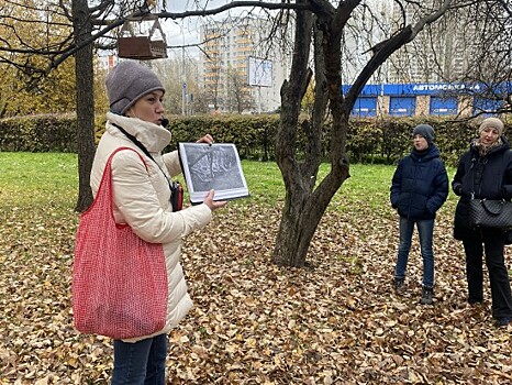 Шишки, ягоды и листья. О богатствах Воронцовского парка рассказали на экскурсии «Дары осени»