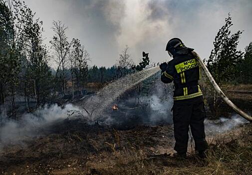 Три пожара и одно затопление: в регионах горят леса, дома и даже помет на птицефабрике