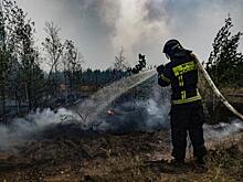 Три пожара и одно затопление: в регионах горят леса, дома и даже помет на птицефабрике