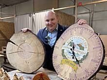 Новая жизнь: что изготовят из Кремлевской елки