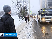 Общественники раскритиковали темпы обновления воронежских автобусов