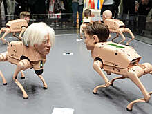 На выставке Арт-Базель представили четвероногих роботов с головами знаменитостей