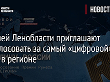 Жителей Ленобласти приглашают проголосовать за самый «цифровой» город в регионе