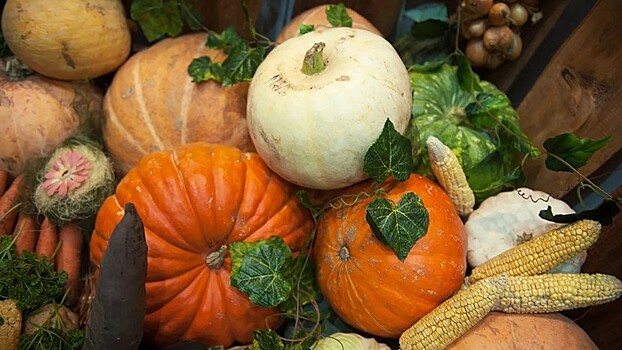 Эксперт оценил увеличение объёмов потребления тыквы в России