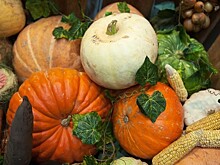 Эксперт оценил увеличение объёмов потребления тыквы в России