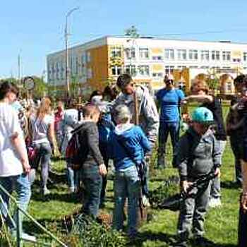 Более 23 тыс. человек приняли участие в акции «Лес Победы» в Люберцах