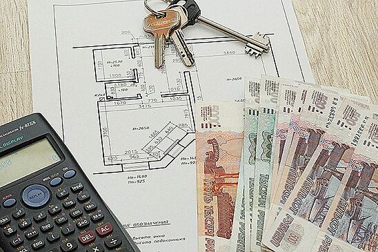 Минстрой предложил использовать маткапитал на ежемесячное погашение ипотеки