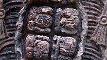 Антрополог сравнила дешифровку иероглифов майя с кодами секретных сообщений