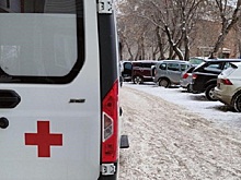 Новосибирский врач спрогнозировал пик заболеваемости ОРВИ и гриппом в России