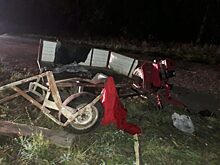 Под Тросной подростки врезались в ВАЗ на мотоблоке