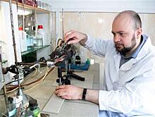 Светящиеся молекулы: тольяттинские ученые осваивают новые подходы к химическому дизайну