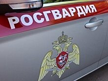 Росгвардия в Татарстане задержала пьяного угонщика