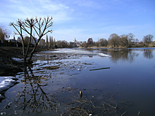 Из-за низкого уровня воды в реке Цна в Тамбове вводят режим ЧС