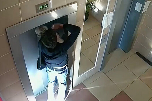 В Москве собака чуть не погибла из-за застрявшего в дверях лифта поводка