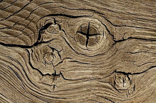 Минпромторг прогнозирует снижение цены на стройматериалы из дерева