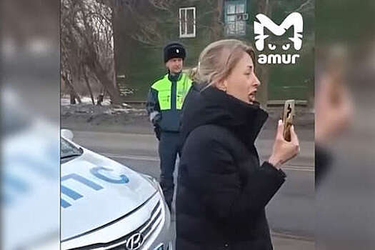 В Благовещенске на видео попало, как женщина устроила истерику из-за машины
