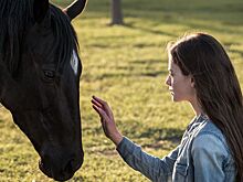 Маккензи Фой в трейлере новой версии «Черного Красавца» 