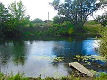 Житель Тюмени утонул в запрещенном для купания пруду