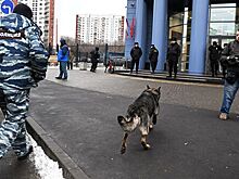 В Москве массово эвакуируют суды