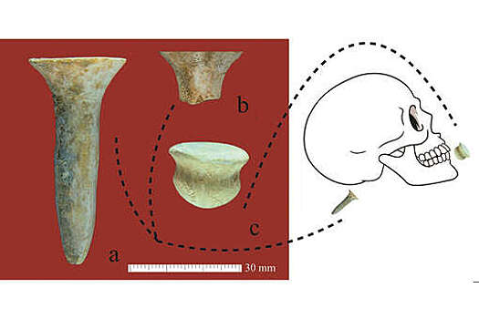 Antiquity: в Турции обнаружили серьги для пирсинга возрастом 10 тыс. лет