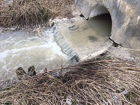 Речку превратили в болото с химическими отходами в Новой Москве