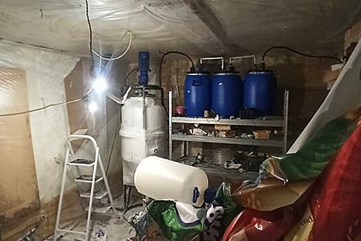 Труп российского риелтора нашли в нарколаборатории на его даче