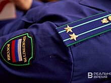 Прокуратура Татарстана проверяет информацию о жестоком обращении с собакой в Казани
