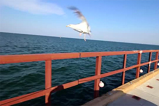 Строители Крымского моста обзавелись гимном «Я забиваю»