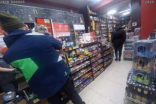 В Новосибирске спасенный с улицы кот устроил погром в магазине