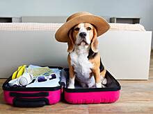 Названы самые выгодные месяцы для отпуска в 2026 году