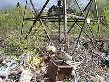 Мусорные свалки на земельных участках в поселке Крутоовражный в Томске