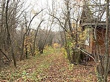 У должников предложили изымать дачные участки