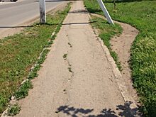 Муниципалитеты получили задание избавиться от газонов