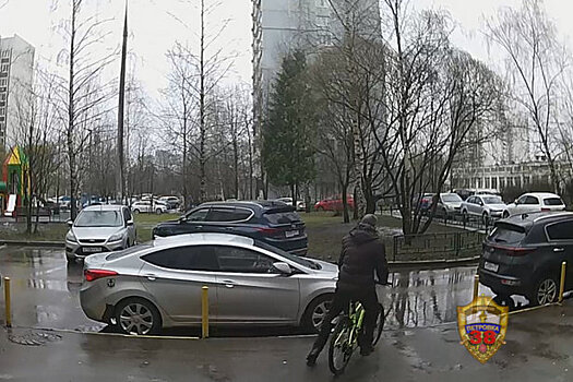 Зеленоградские полицейские по горячим следам задержали похитителя детского велосипеда