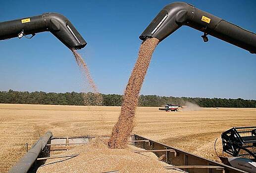 России спрогнозировали резкий рост вывоза ключевой агрокультуры