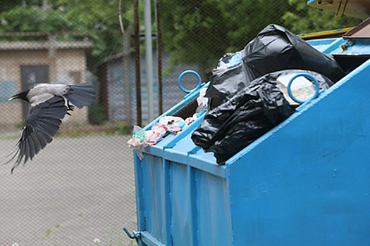Власти Подмосковья анонсировали новый порядок расчета за вывоз отходов