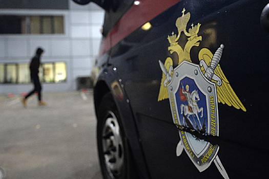 СКР раскрыл подробности предотвращения нападения на школу в Нижнем Новгороде