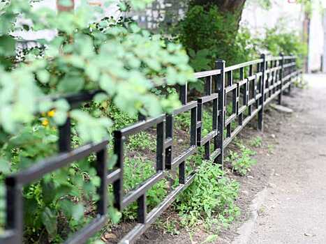 Сергей Петрин, мэр Воронежа поделился информацией о ходе благоустройства дворовых территорий