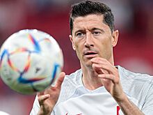 Польша — Чехия, прогноз на матч ЧЕ-2024 17 ноября 2023 года, где смотреть онлайн бесплатно, прямая трансляция