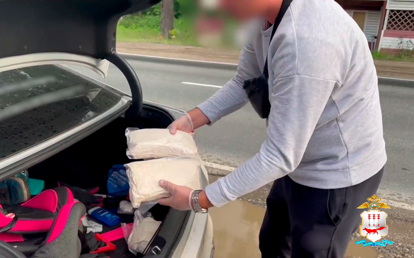 Полиция Мордовии задержала жителя Подмосковья, который вёз в Ульяновск и Чебоксары 3 кг наркотика