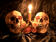 Зверские брачные обряды, от которых волосы встают дыбом